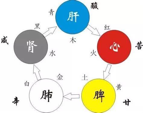 五行 五味|五味与五行的正确解读